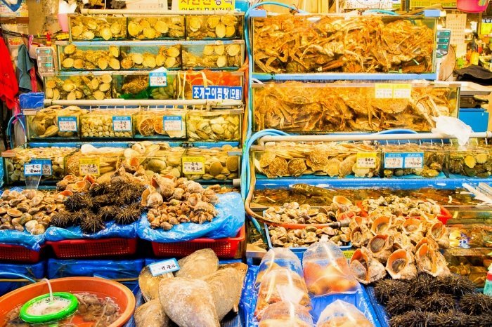 khám phá, trải nghiệm, ăn king crab ở noryangjin – chợ hải sản lớn nhất seoul