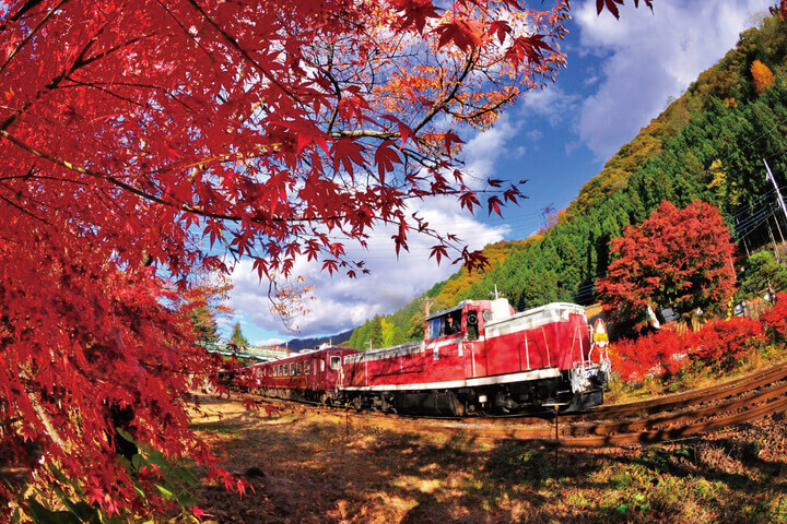 khám phá, trải nghiệm, những nơi ngắm lá đỏ không thể bỏ qua khi tự túc du lịch nhật bản vào mùa thu – phần 1: tokyo