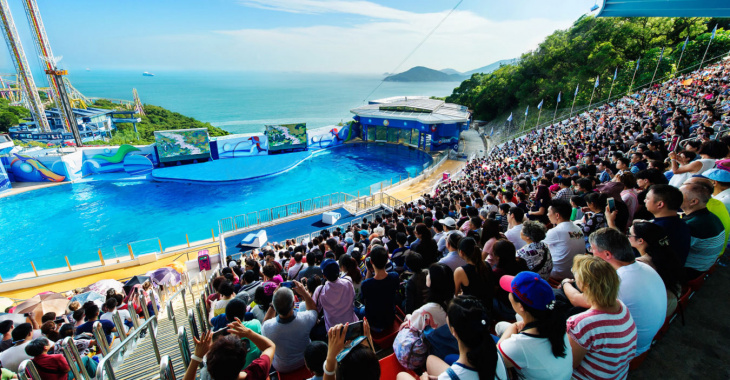 khám phá, trải nghiệm, review kinh nghiệm vui chơi ở ocean park hongkong