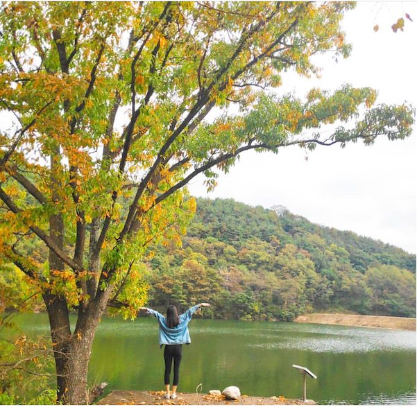 khám phá, trải nghiệm, ngắm lá phong tại naejangsan và hamyang sangnim park 