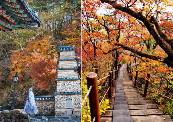 Du lịch Hàn Quốc tự túc: 3 ngày tận hưởng tiết trời mùa thu ở Busan