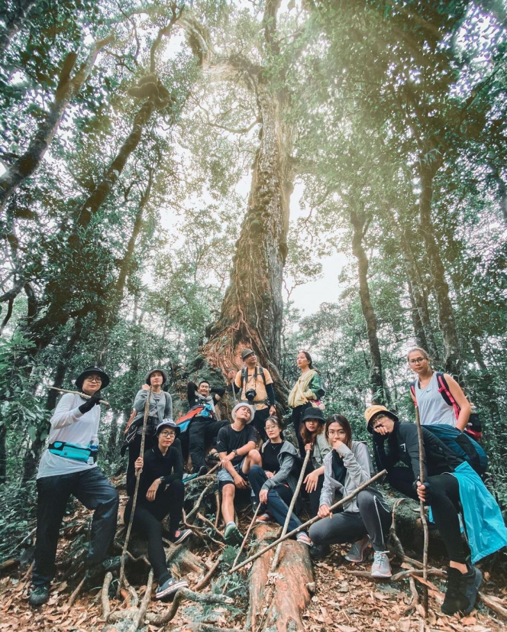 khám phá, trải nghiệm, trekking bidoup: kinh nghiệm chinh phục nóc nhà tây nguyên