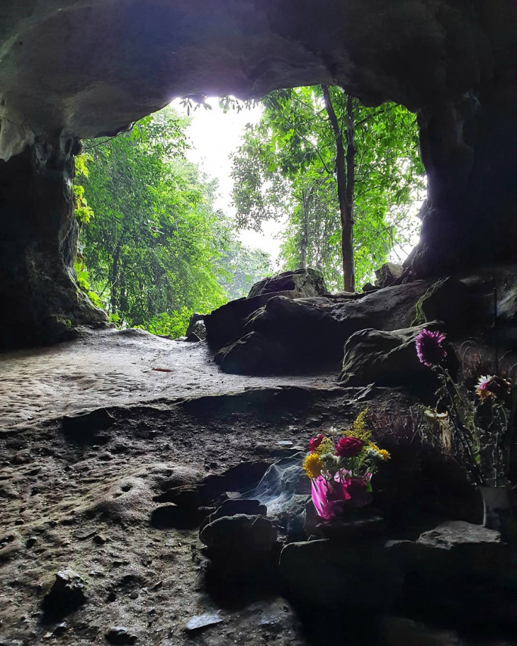 khám phá, trải nghiệm, rừng cúc phương: đi bộ xuyên rừng khám phá hang động tiền sử bí ẩn