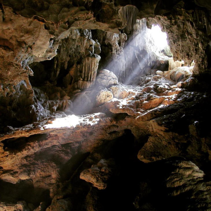 khám phá, trải nghiệm, rừng cúc phương: đi bộ xuyên rừng khám phá hang động tiền sử bí ẩn