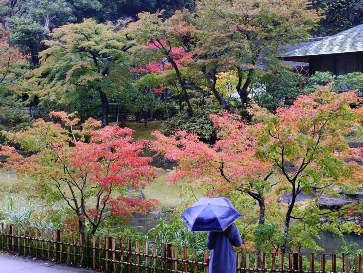 khám phá, trải nghiệm, du lịch nhật bản tự túc: những thị trấn xinh đẹp dễ đi gần tokyo