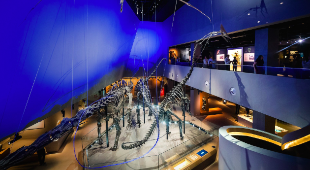 khám phá, trải nghiệm, 6 bảo tàng nhất định phải ghé khi du lịch tự túc singapore