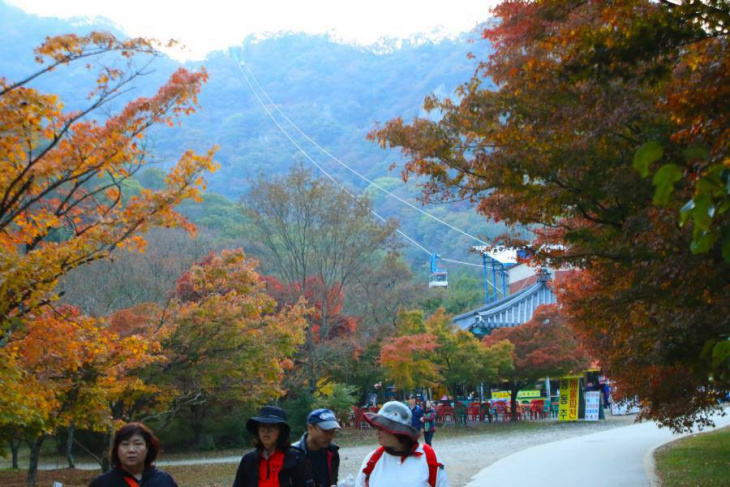 khám phá, trải nghiệm, dạo bước trong khung cảnh mùa thu hàn quốc ở công viên naejangsan