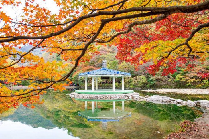 khám phá, trải nghiệm, dạo bước trong khung cảnh mùa thu hàn quốc ở công viên naejangsan