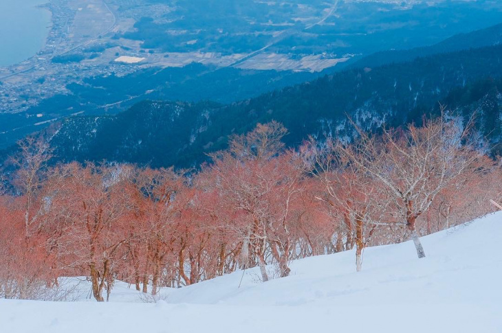 khám phá, trải nghiệm, thung lũng biwako – thiên đường tuyết trắng nhất định phải ghé ở nhật bản