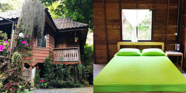 khám phá, trải nghiệm, du lịch thái lan tự túc: 7 homestay và hostel siêu đẹp ở chiang mai