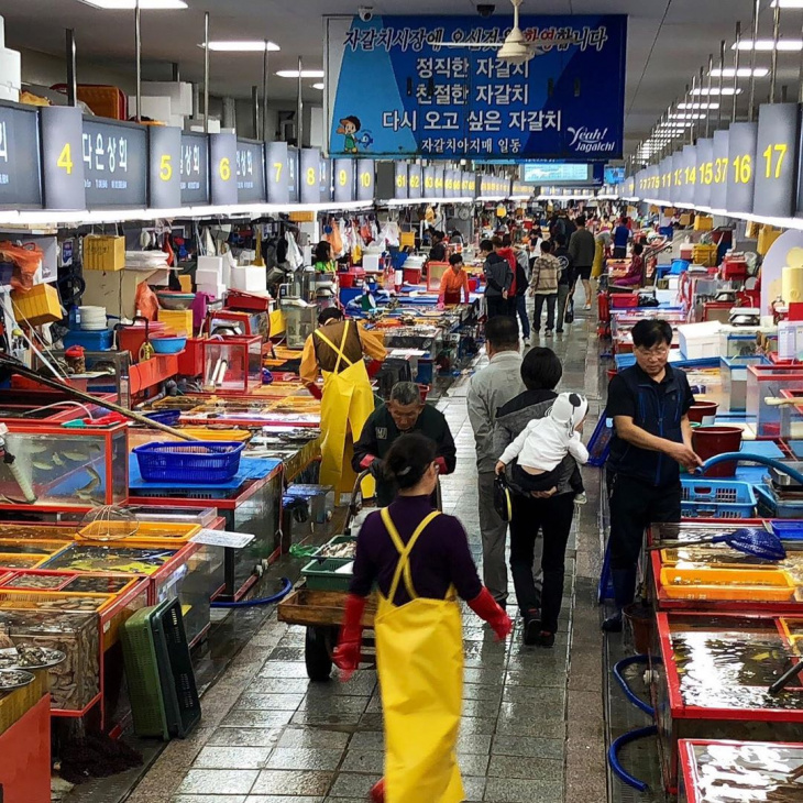 Du lịch Hàn Quốc tự túc: Những khu chợ phải ghé khi đi Busan