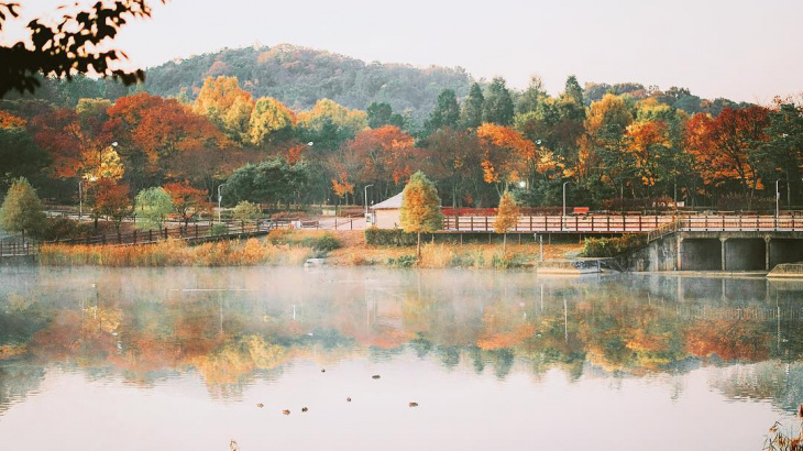 Du lịch Hàn Quốc tự túc: Mùa thu ở Inchoen đi đâu? Làm gì?