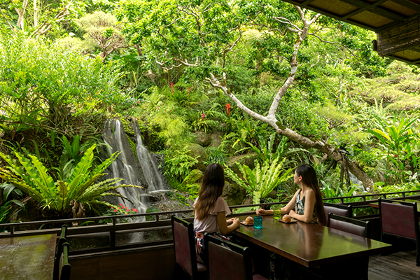Hành trình đi Okinawa và những quán cà phê được săn lùng nhiều nhất