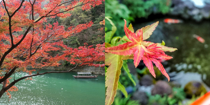khám phá, trải nghiệm, du lịch nhật bản tự túc: nếu muốn đi hokkaido tận hưởng mùa thu thì đi đâu? làm gì?