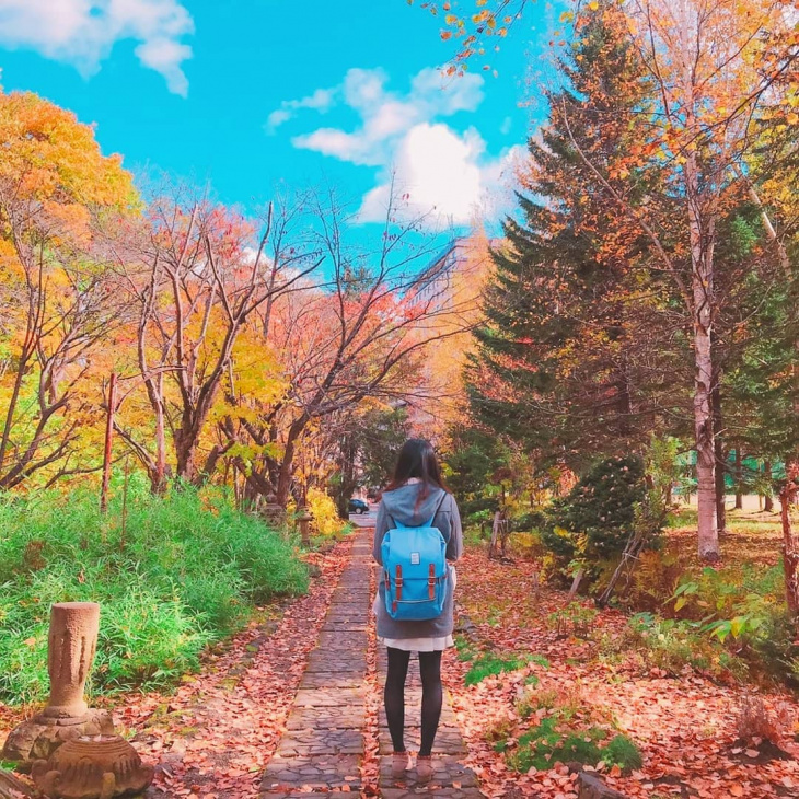khám phá, trải nghiệm, du lịch nhật bản tự túc: nếu muốn đi hokkaido tận hưởng mùa thu thì đi đâu? làm gì?