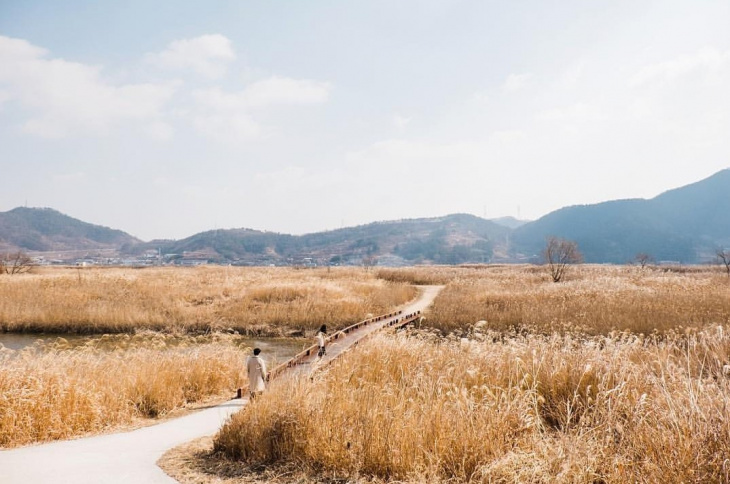 Vịnh Suncheon – thiên đường mùa thu bị bỏ quên ở Hàn Quốc