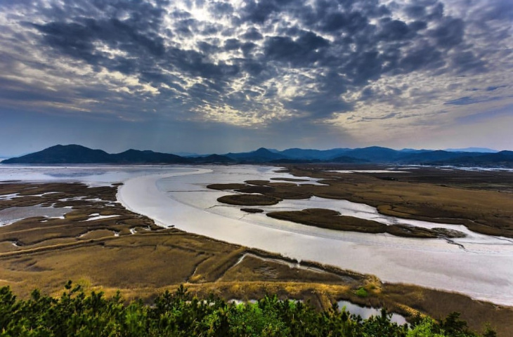 khám phá, trải nghiệm, vịnh suncheon – thiên đường mùa thu bị bỏ quên ở hàn quốc