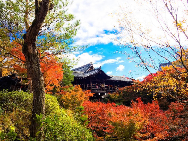 Du lịch Nhật Bản tự túc: Những điểm ngắm lá phong đẹp đến nao lòng ở Kyoto