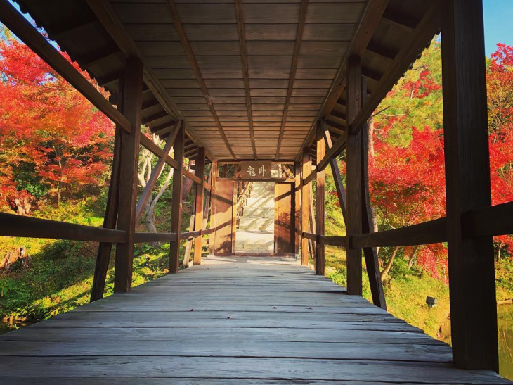 khám phá, trải nghiệm, du lịch nhật bản tự túc: những điểm ngắm lá phong đẹp đến nao lòng ở kyoto
