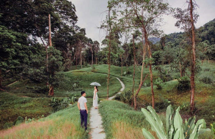 Công viên Ozo: Khám phá công viên trò chơi trên cây dài nhất Việt Nam
