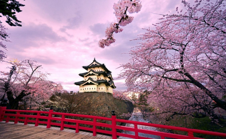 Tự Túc Đi Nhật Bản: Đi Osaka Lần Đầu Thì Đi Đâu? Chơi Gì?