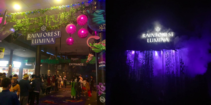 khám phá, trải nghiệm, du lịch singapore tự túc: đi singapore zoo sống ảo cùng rừng mưa ánh sáng