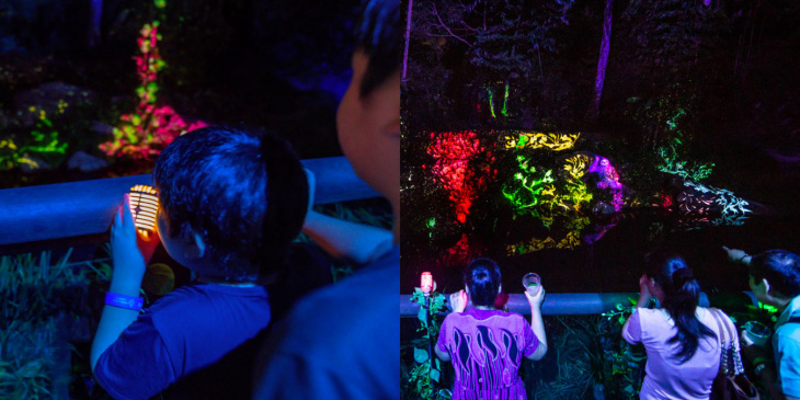 khám phá, trải nghiệm, du lịch singapore tự túc: đi singapore zoo sống ảo cùng rừng mưa ánh sáng