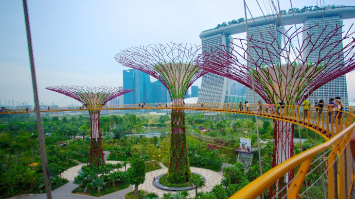 khám phá, trải nghiệm, du lịch singapore tự túc: hướng dẫn tham quan khu vườn thực vật gardens by the bay
