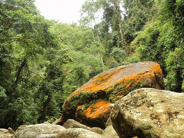 Chế Tạo – khu bảo tồn loài lớn nhất Việt Nam