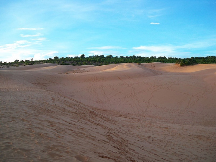 khám phá, kinh nghiệm du lịch đồi cát hồng bình thuận chi tiết nhất