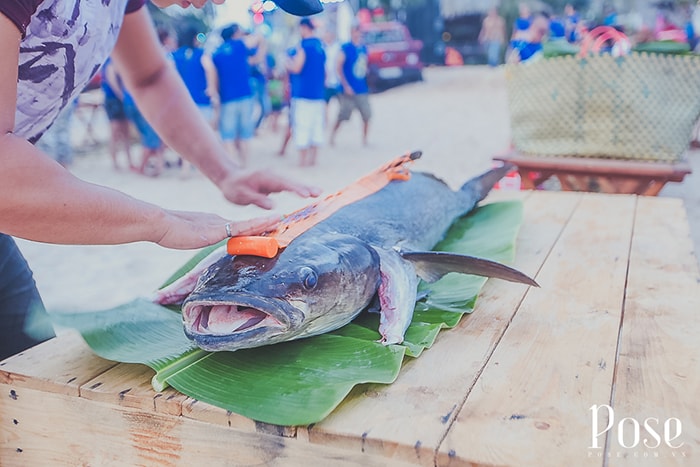 khám phá, kinh nghiệm đi coco beach camp và những điều bạn cần biết