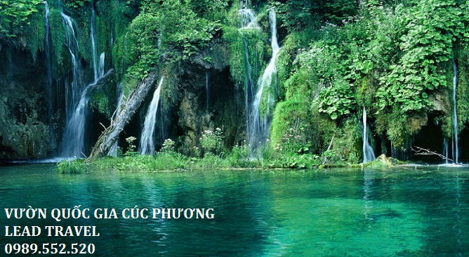 Cúc Phương – Điểm du lịch ở Ninh Bình mà bạn không thể bỏ lỡ