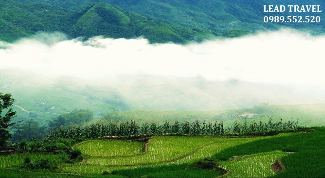 Du lịch Sapa tháng 7 – Thiên nhiên tươi mát vẫy gọi