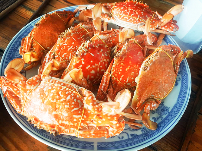 Ăn gì ở Sầm Sơn ? Điểm danh món ăn ngon, đặc biệt ở biển Sầm Sơn