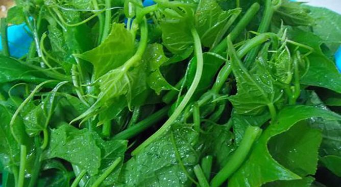 ẩm thực, những loại rau đặc sản của sapa-đặc sản sapa