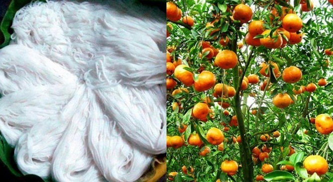 Ẩm thực Hà Nam - tổng hợp đặc sản nổi tiếng Hà Nam