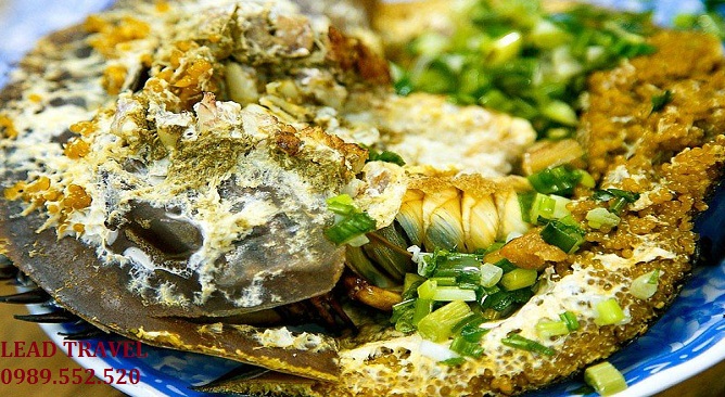 ẩm thực, sam biển – hải sản hạ long làm nức lòng du khách năm châu
