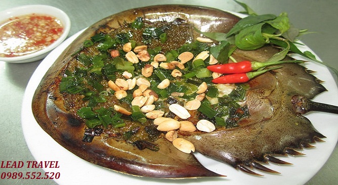 ẩm thực, sam biển – hải sản hạ long làm nức lòng du khách năm châu