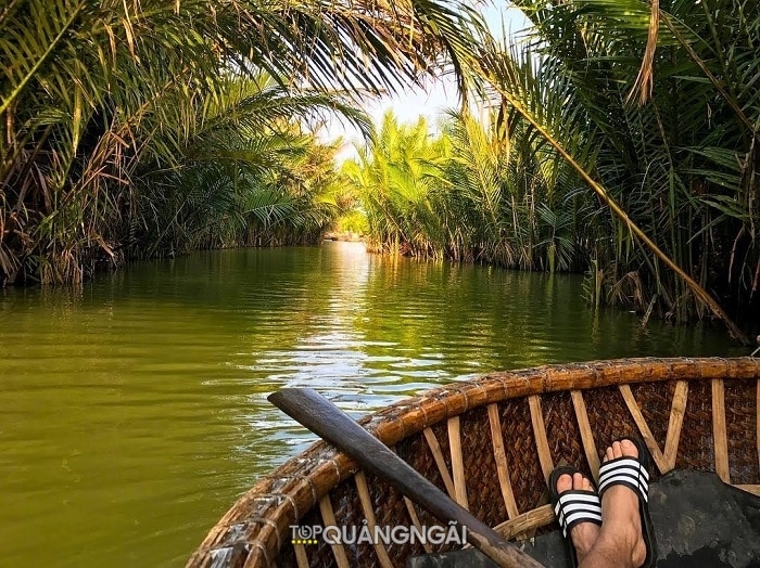 rừng dừa nước tịnh khê – quảng ngãi: điểm du lịch lý tưởng hot nhất hiện nay