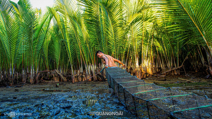 rừng dừa nước tịnh khê – quảng ngãi: điểm du lịch lý tưởng hot nhất hiện nay