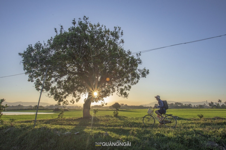 Cảnh đẹp quê hương Quảng Ngãi dưới góc nhìn của nhiếp ảnh gia