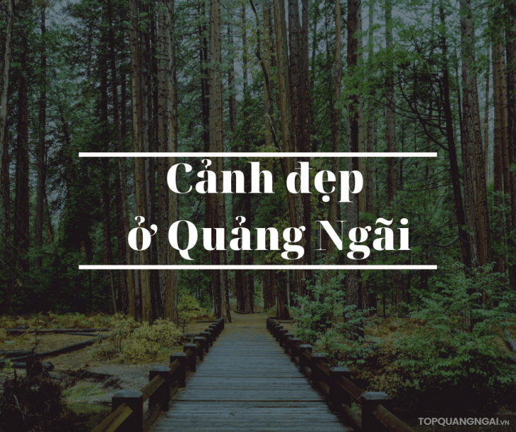 Top 5 cảnh đẹp ở Quảng Ngãi đốn tim du khách