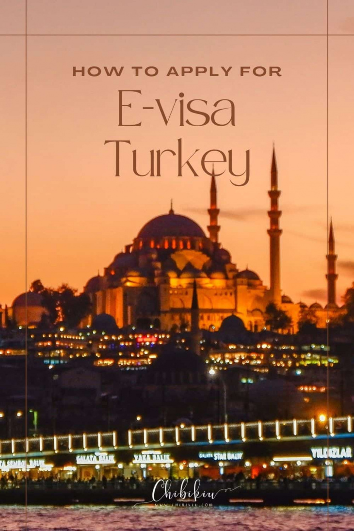 How to apply for E-visa Turkey