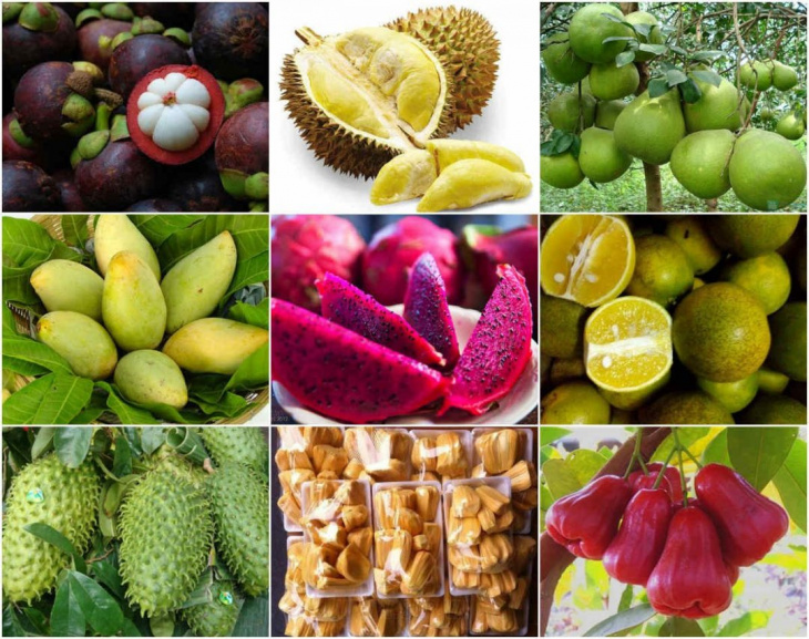 ẩm thực, top 9 đặc sản hoa quả cần thơ, đi là nhớ, hứa mang về