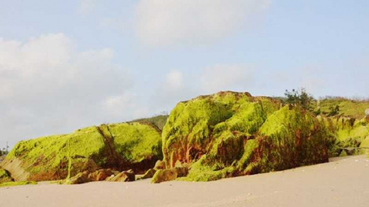 khám phá, trải nghiệm, bãi biển hoành sơn đầy rong rêu với nhiều nét độc lạ của hà tĩnh