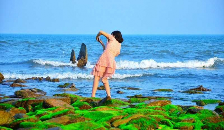 khám phá, trải nghiệm, bãi biển hoành sơn đầy rong rêu với nhiều nét độc lạ của hà tĩnh