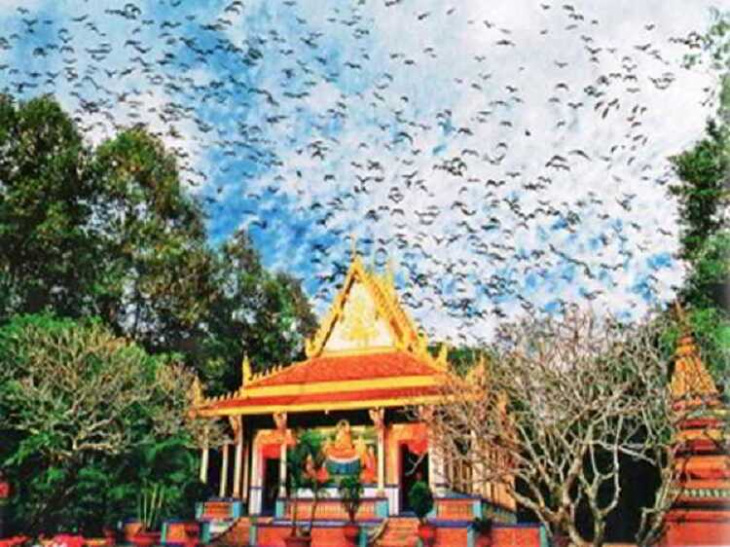 khám phá, trải nghiệm, chùa dơi ở sóc trăng có phải là chùa mã tộc của bà con dân tộc khmer