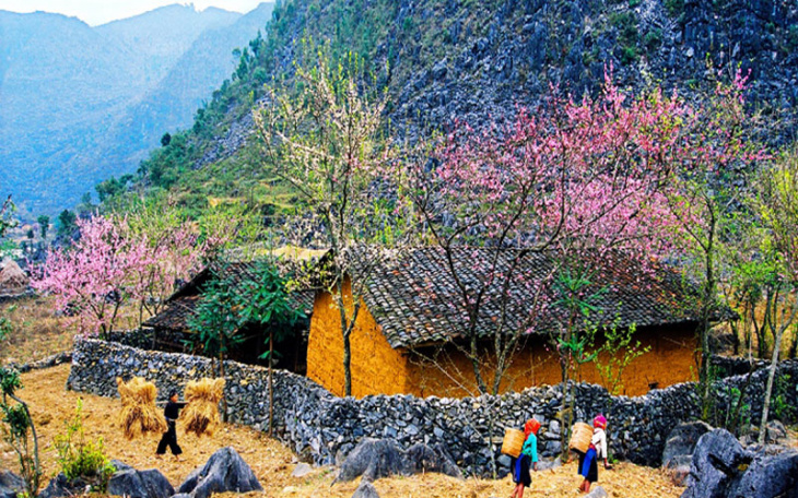 Du lịch Hà Giang vào mùa xuân vùng cao nguyên đá nở hoa