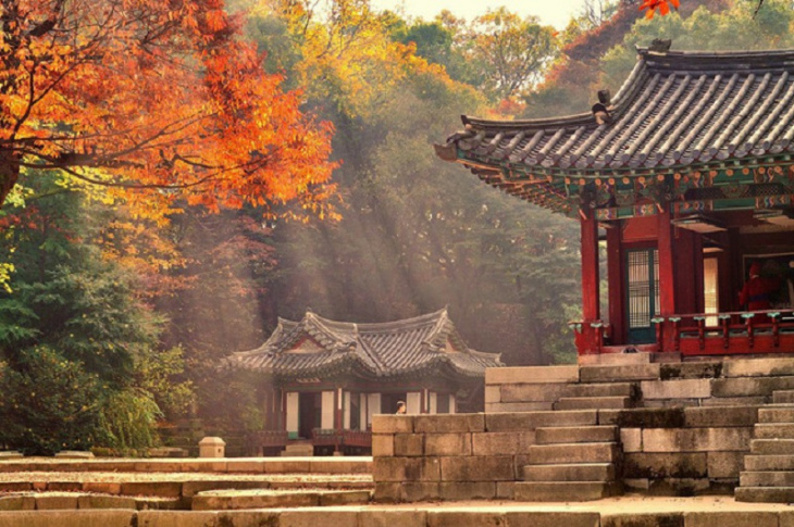 Những điểm ngắm lá đỏ đẹp nhất ở Seoul Hàn Quốc