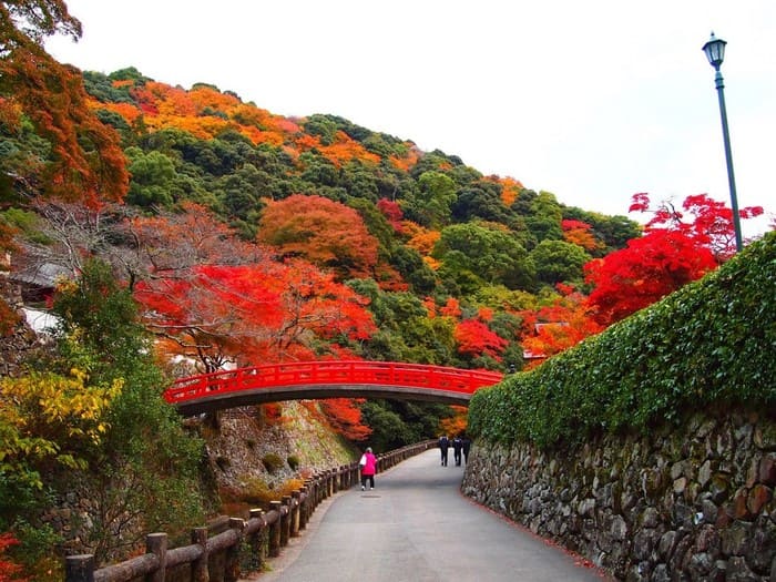 10 địa điểm ngắm mùa thu Osaka lãng mạn như phim Hàn Quốc